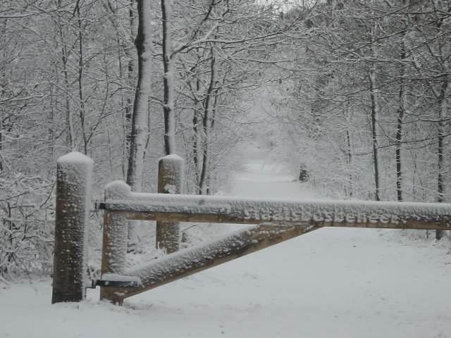 Natura a Romania